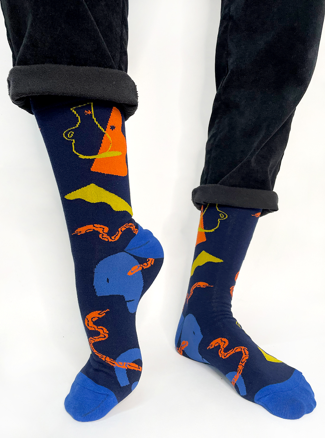 Snake & Vase Socks