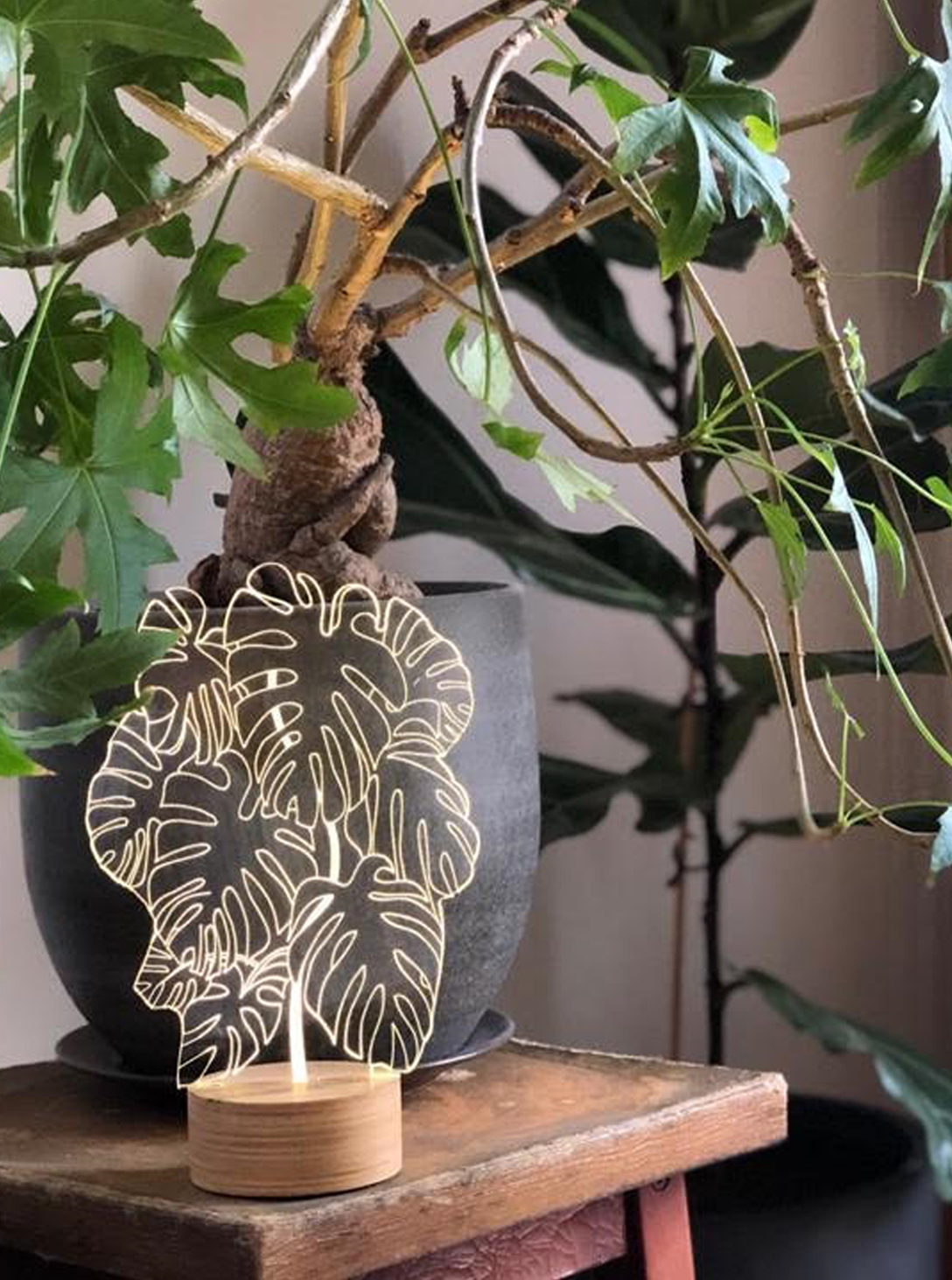 monstera lamp