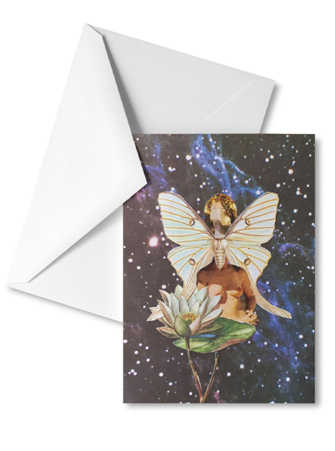 LOTUS FLOWER POSTCARD