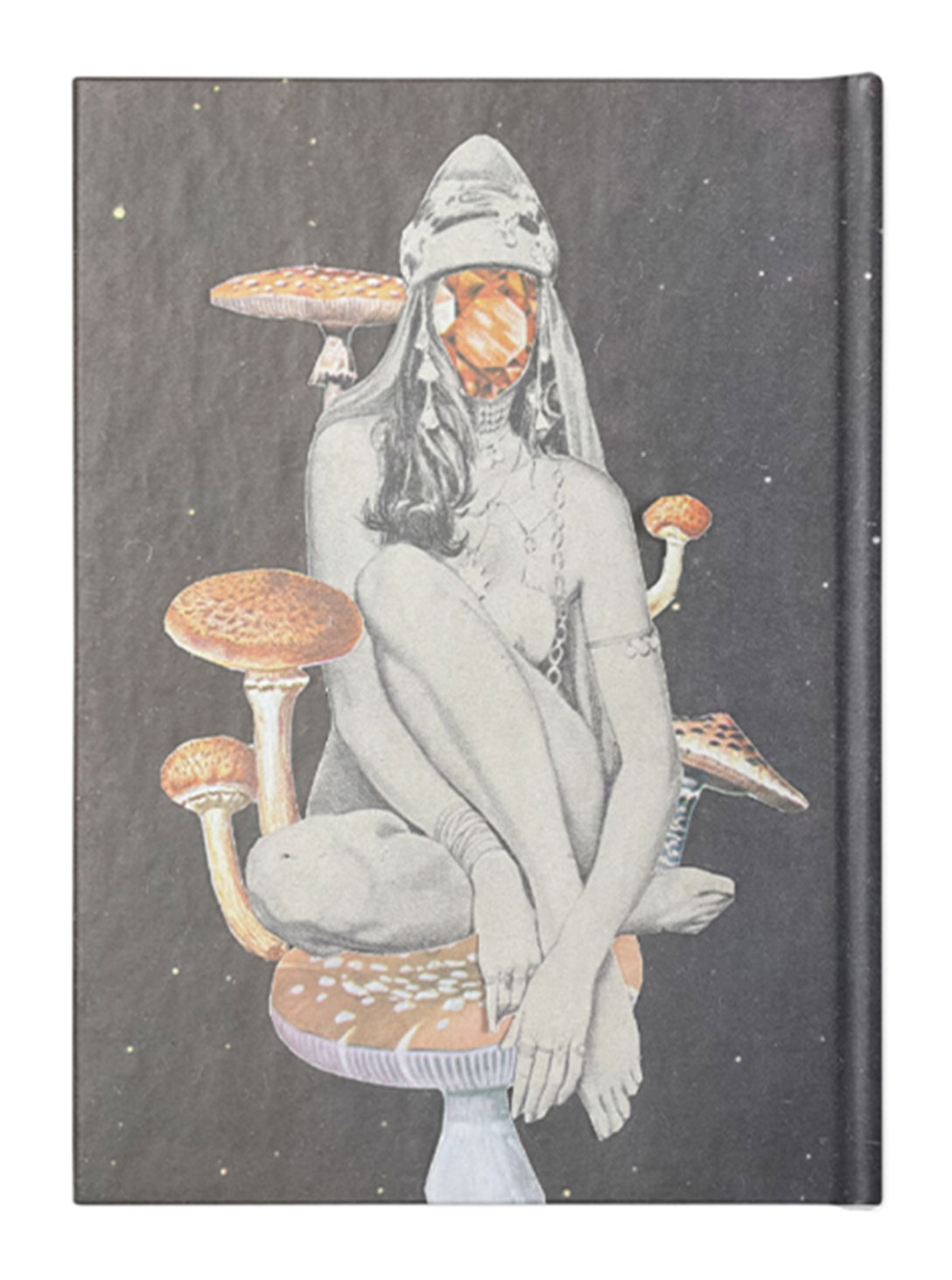 MYCELIUM QUEEN NOTEBOOK