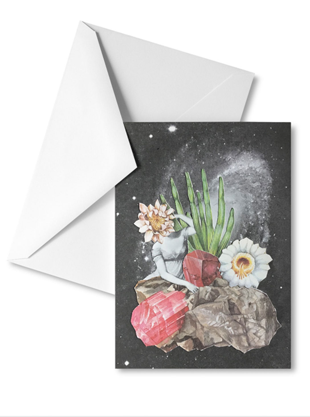 PHOTOSYNTHESIS POSTCARD