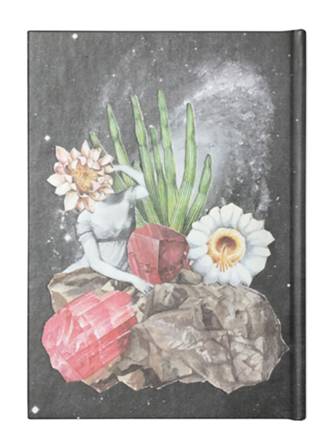 PHOTOSYNTHESIS NOTEBOOK