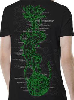 Chameleon Black