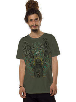 darudar olive
