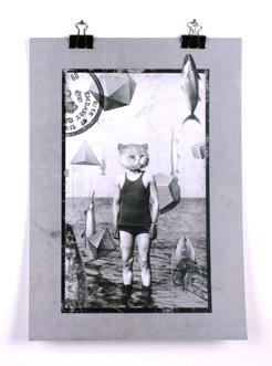 Sea Cat Poster