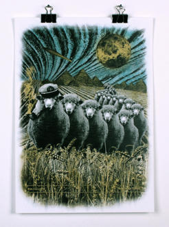 sheep ship