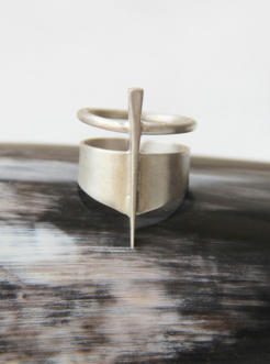 Amazon ring