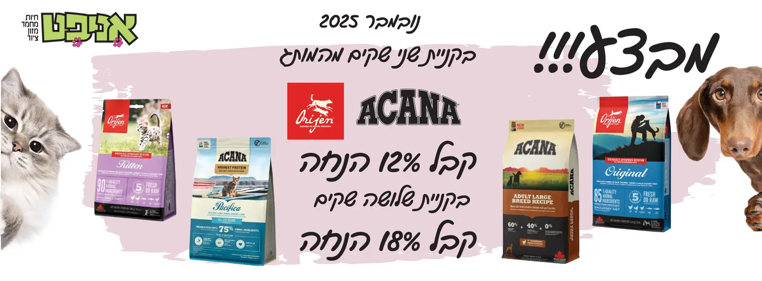 אקאנה אוריג'ן 1