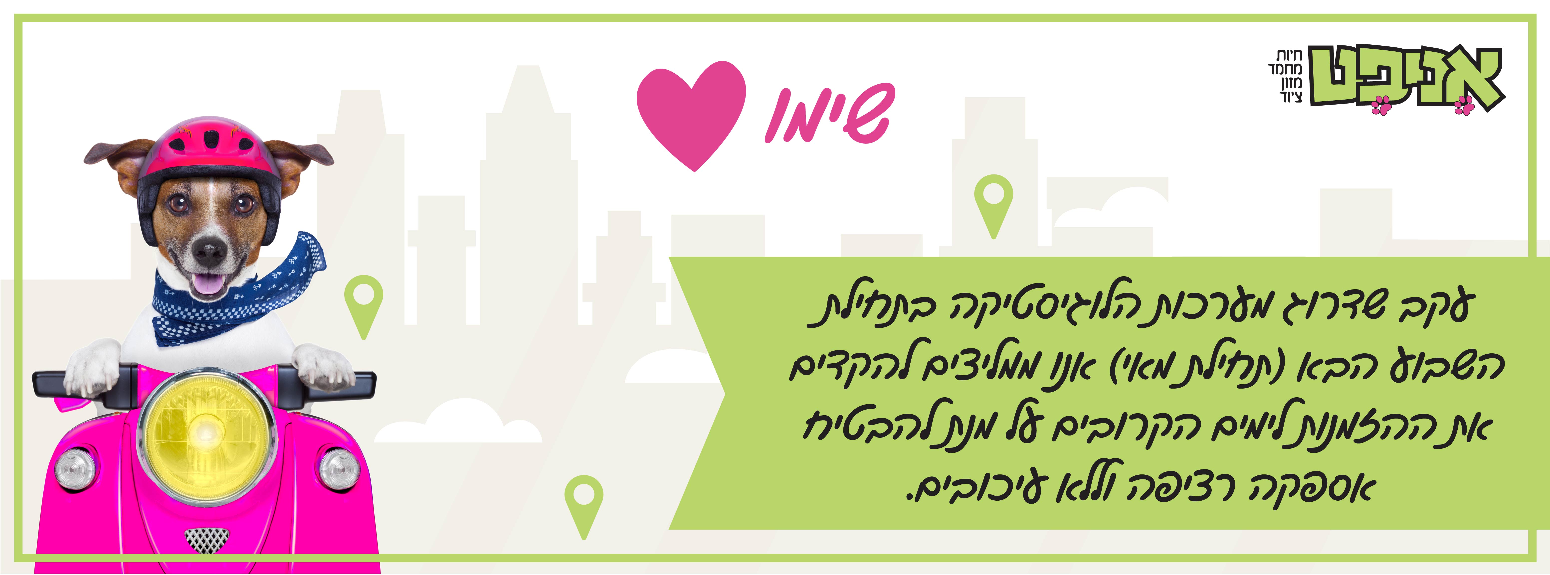 באנר עיכוב במשלוחים רזולוציה לבאנר אתר אניפט