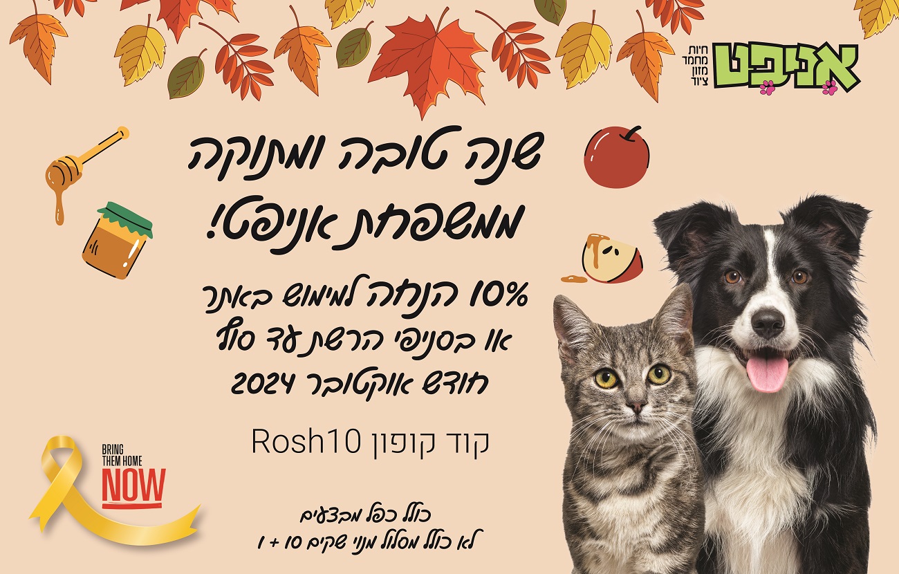 הטבת ראש השנה 2024 אניפט