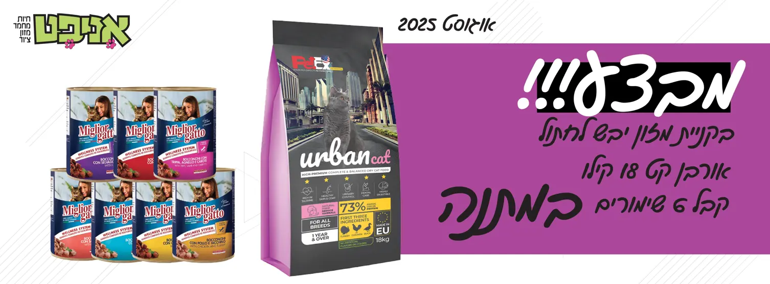 מבצע אורבן קט רזולוציה לבאנר אתר אניפט 2025