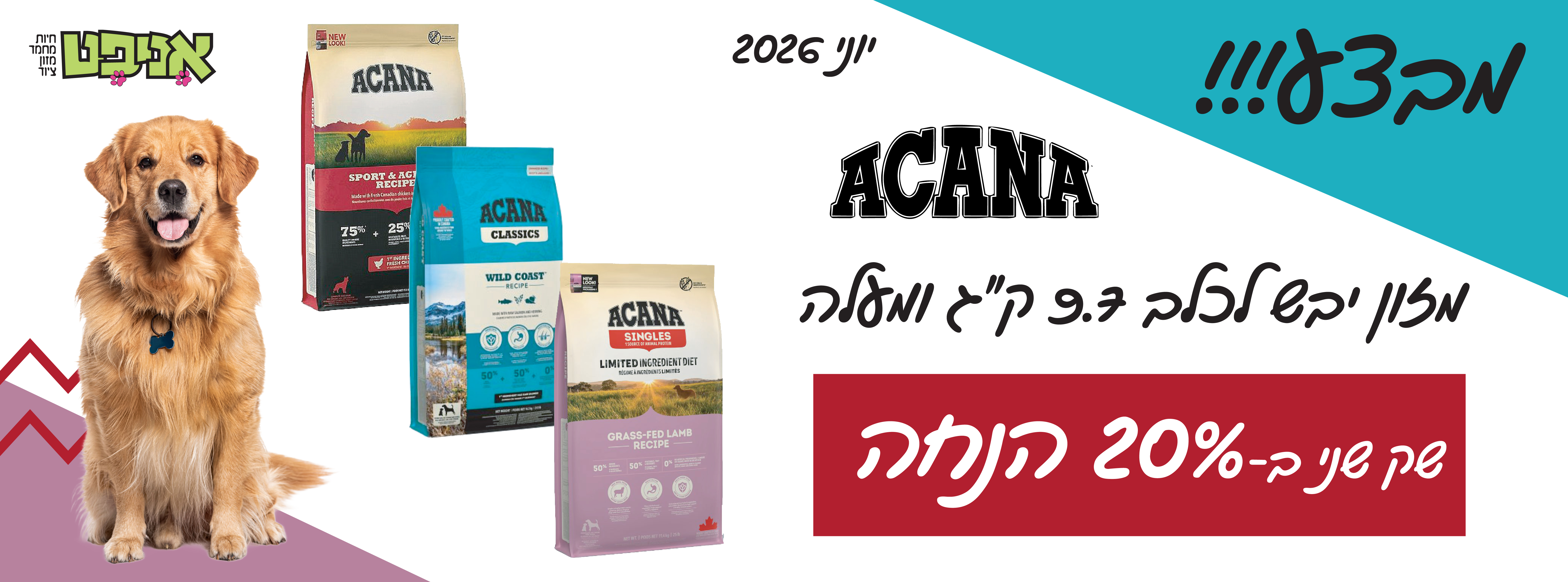 מבצע אקנה לכלב 