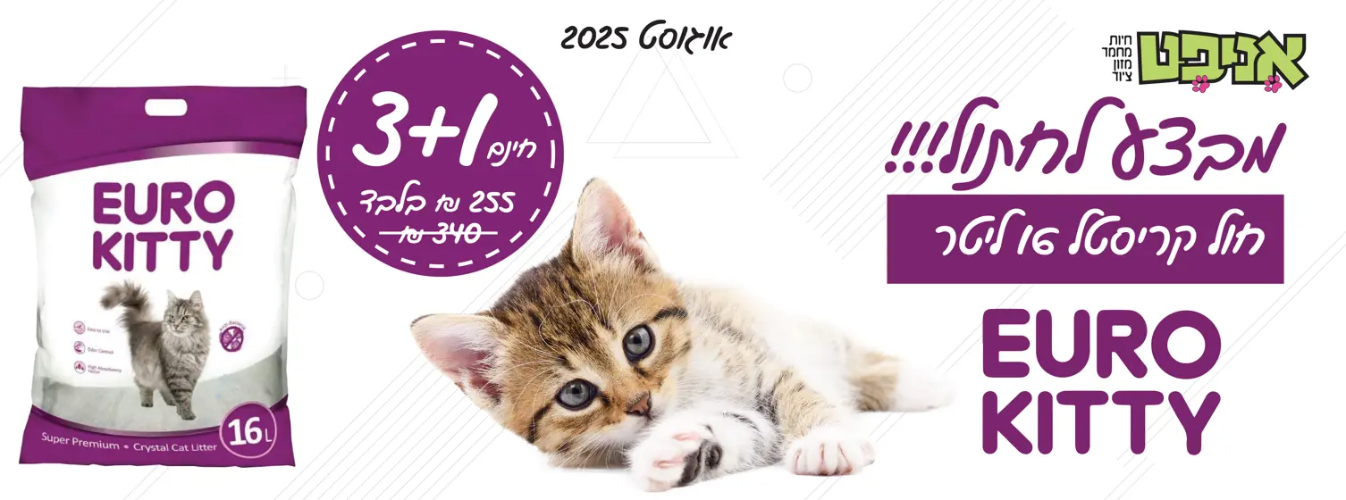 מבצע יורו קיטי רזולוציה לבאנר אתר אניפט 2025