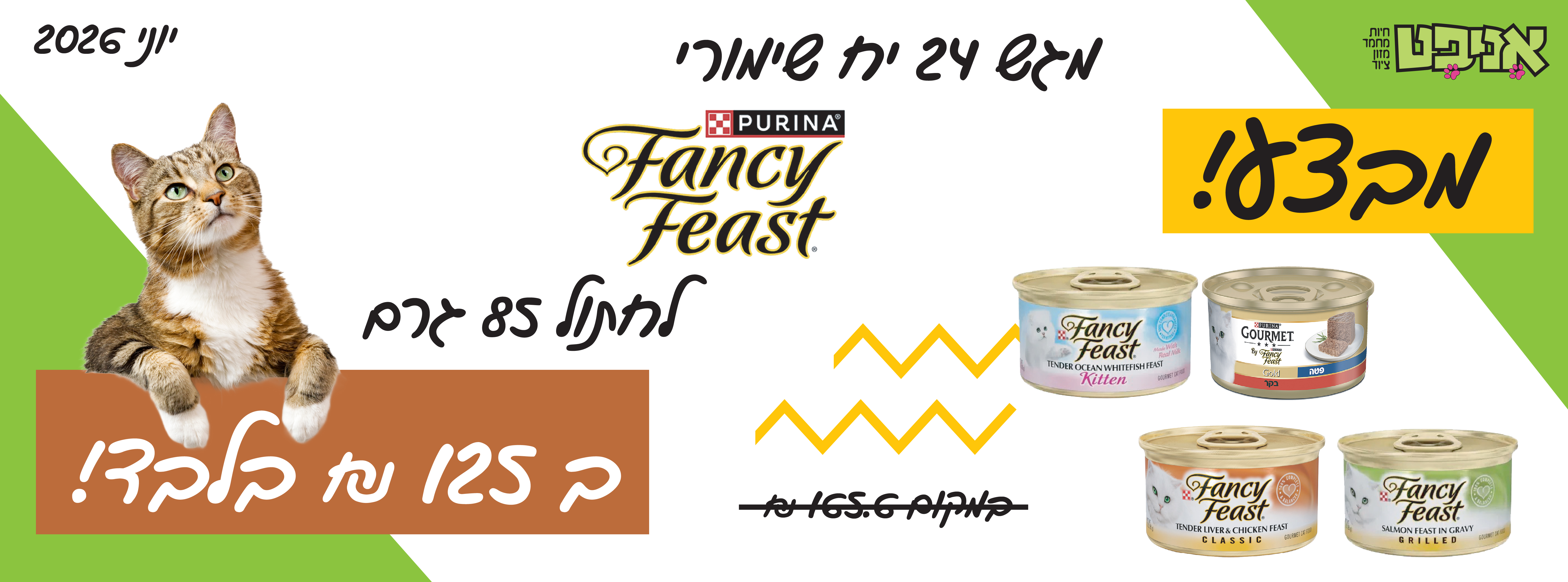 מבצע פנסי פיסט לחתול 