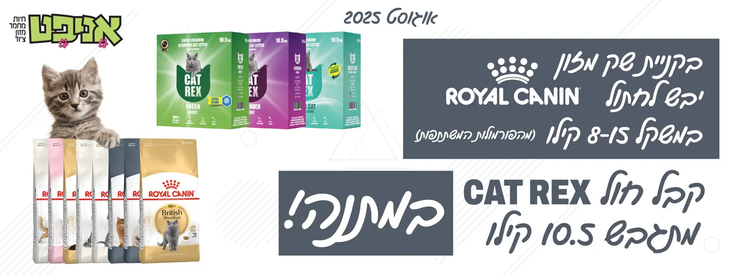 מבצע קט רקס ורואיל קנין רזולוציה לבאנר אתר אניפט 2025