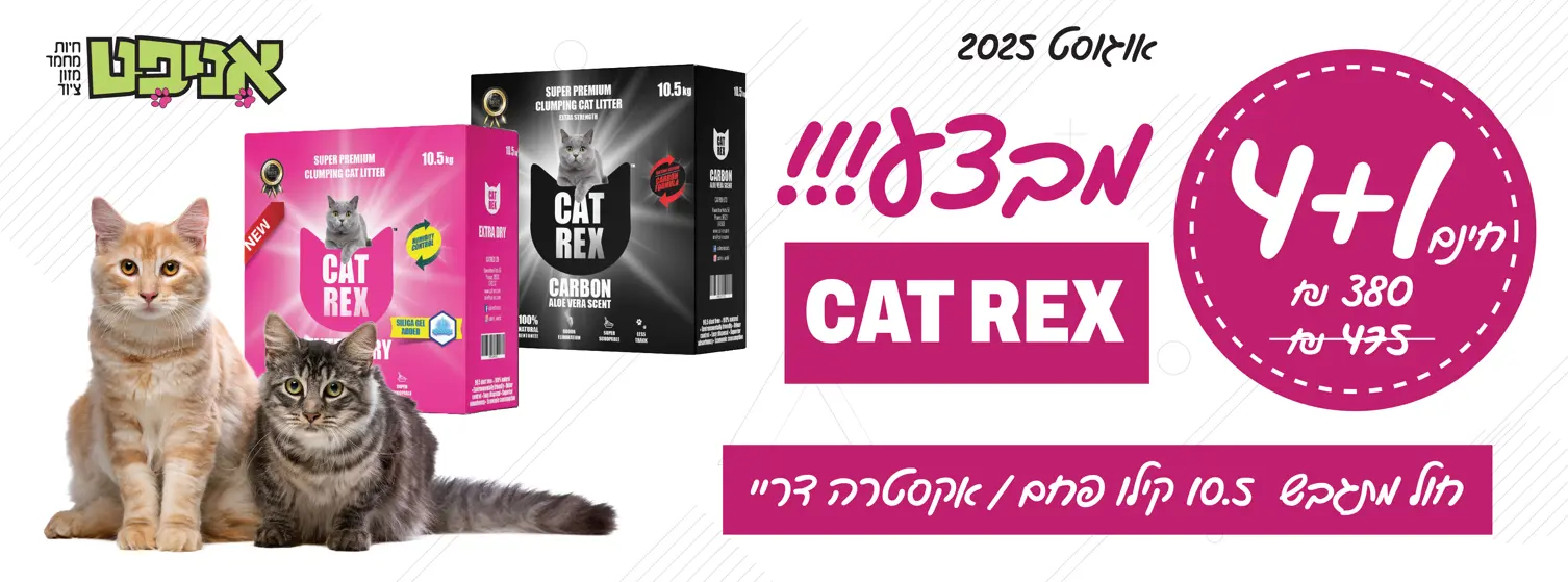 מבצע קט רקס רזולוציה לבאנר אתר אניפט 2025