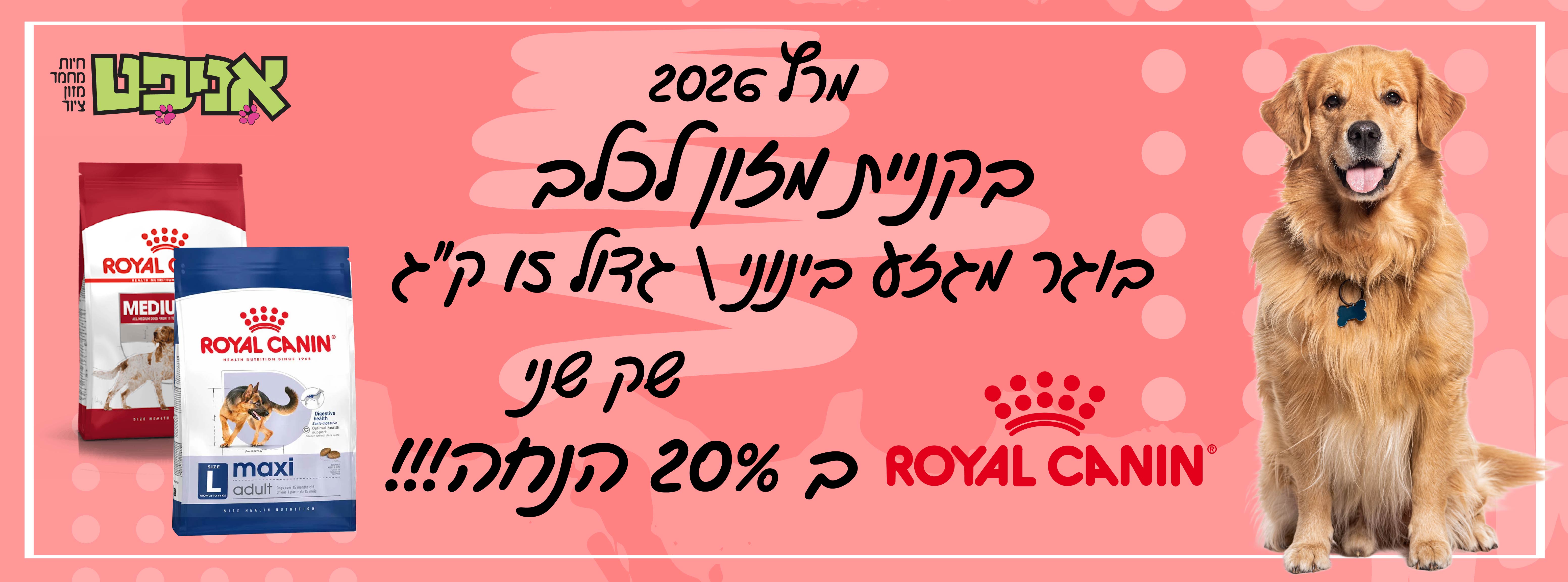 רויאל קנין כלב