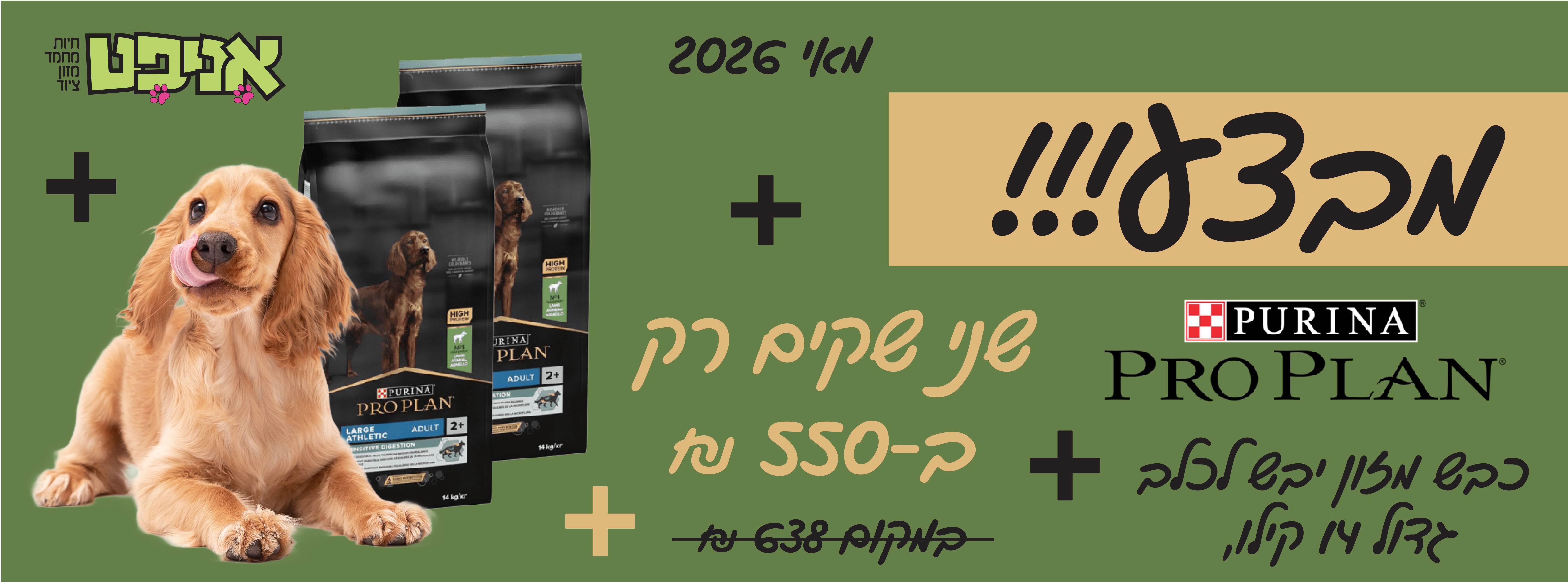 פרו פלאן כבש לכלב