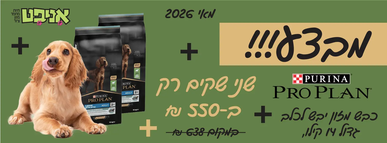 פרו פלאן כבש לכלב