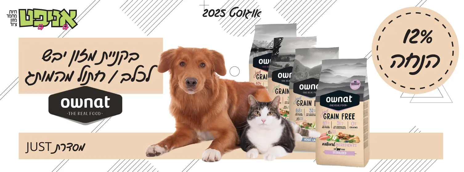 מבצע owant רזולוציה לבאנר אתר אניפט 2025