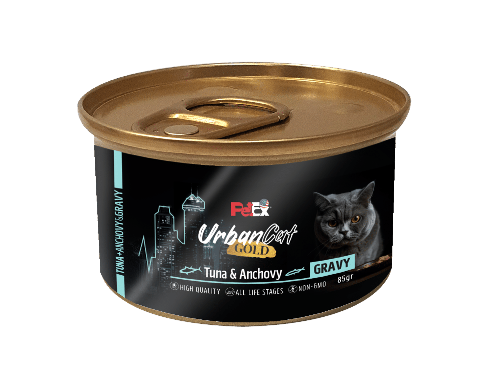 מגש 24יח' אורבן קט גולד מעדן ברוטב בטעם טונה ואנשובי