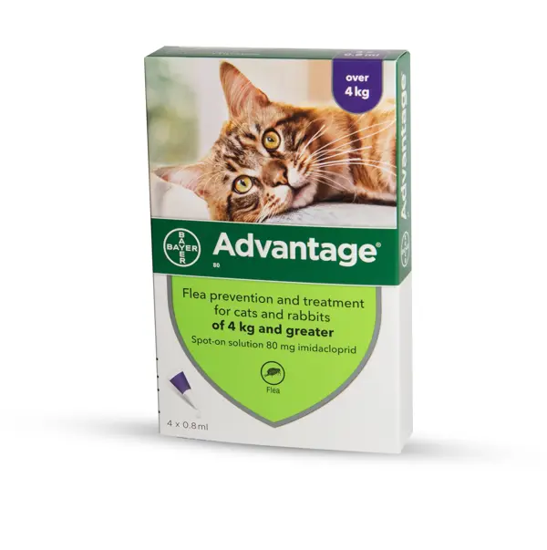 Advantage אמפולות - טיפול בפרעושים וקרציות לחתולים