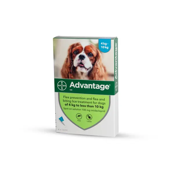 Advantage אדוונטג' - טיפול בפרעושים וקרציות לכלבים