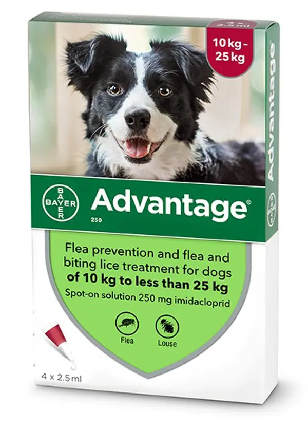 Advantage אמפולות - טיפול בפרעושים וקרציות לכלבים