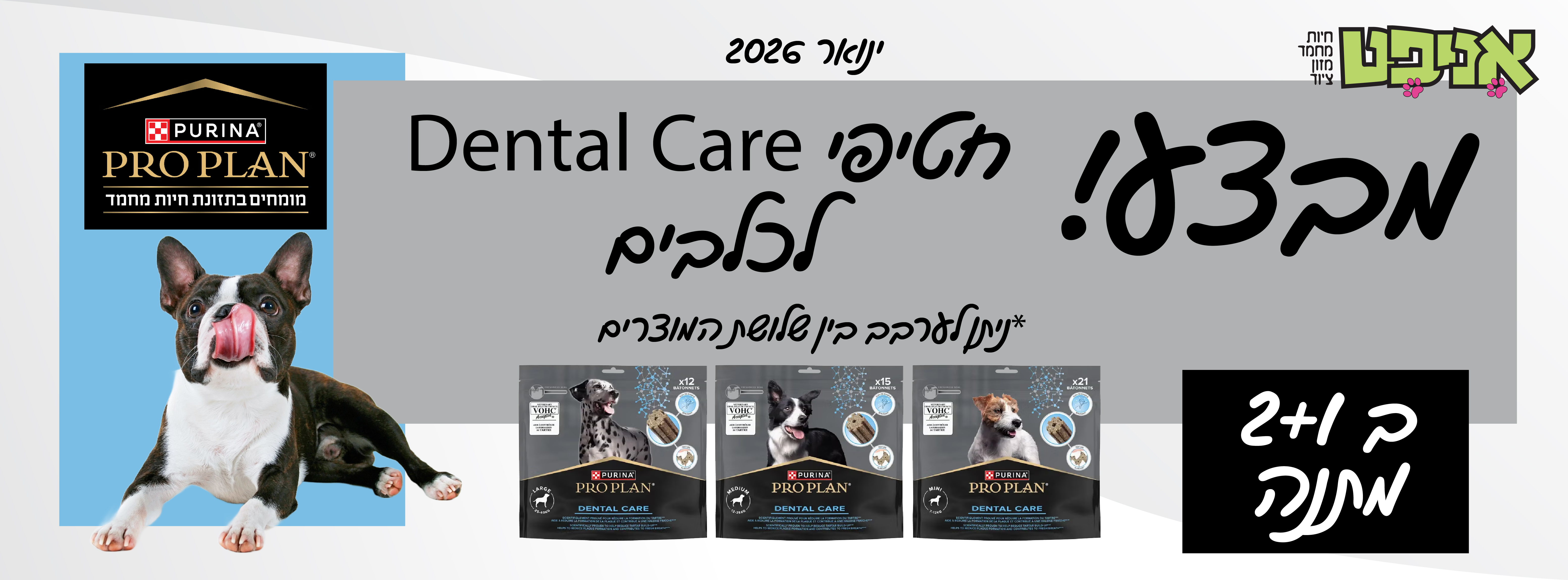 DENTAL CARE