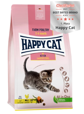 הפי קט עוף לגורי חתולים