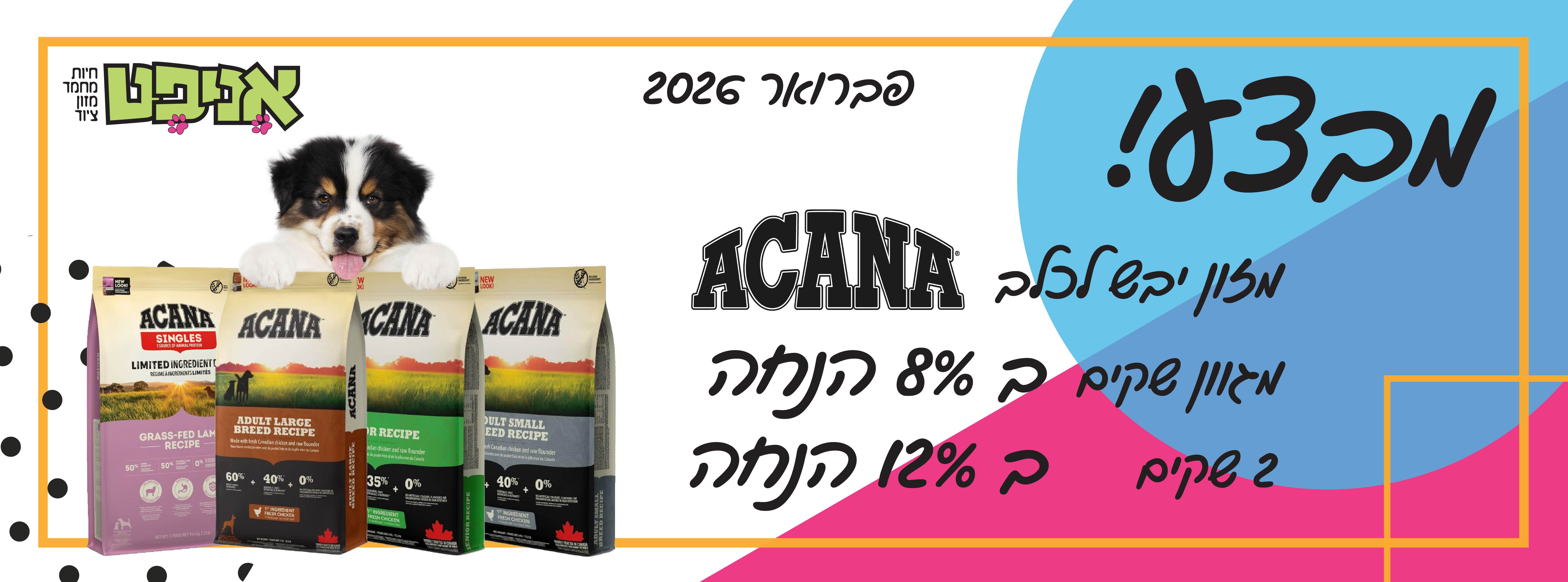 אקאנה כלבים