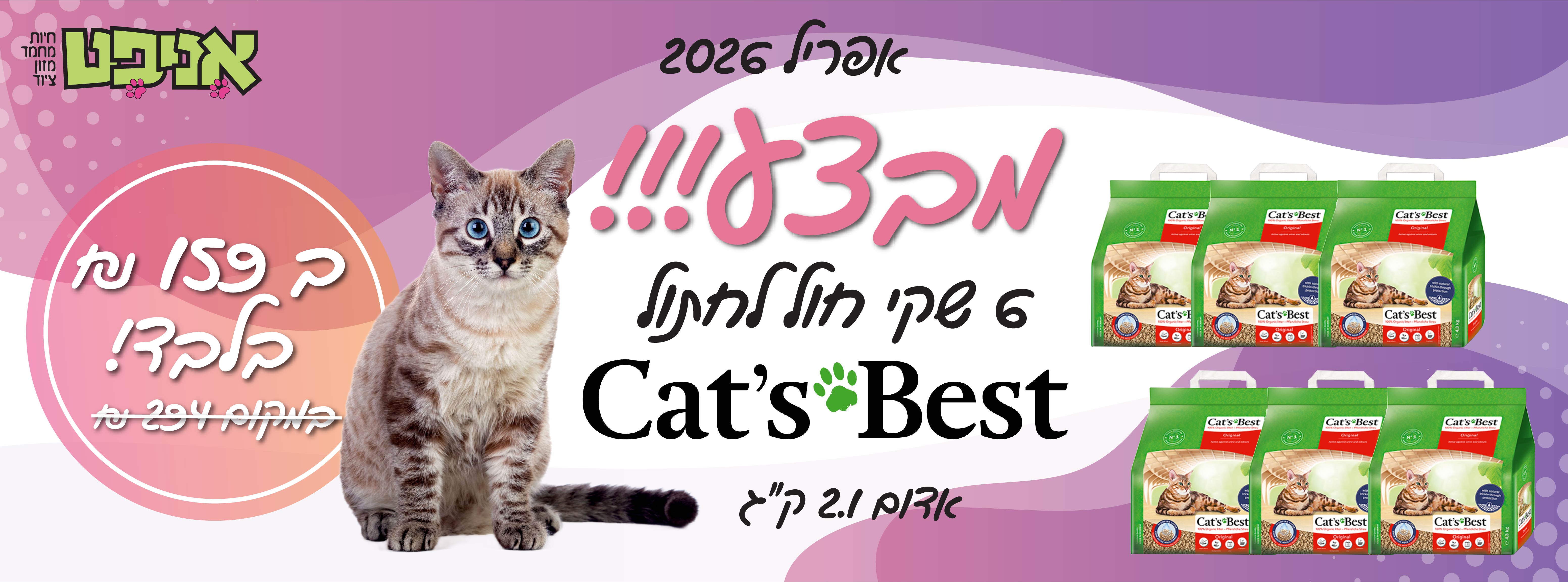 קטס בסט לחתול