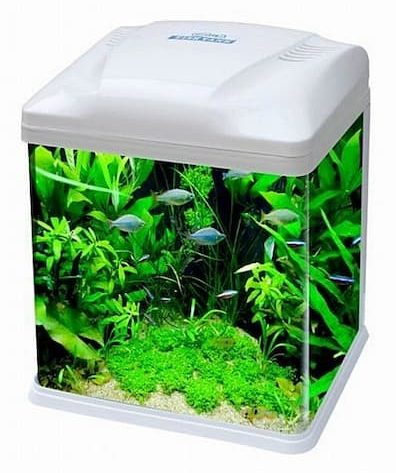 קוקו B אקווריום לבן עם קיט ציוד מלא - גודל לבחירה