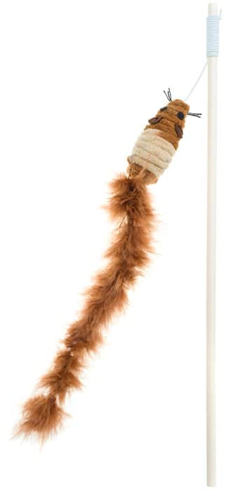 משחק לחתול חכה עם עכבר