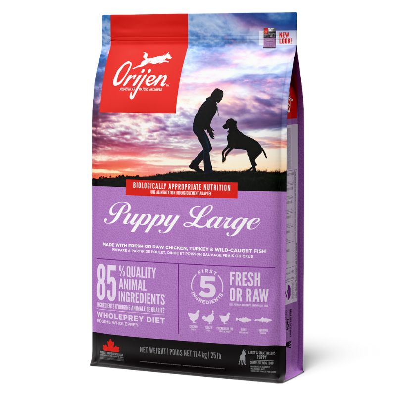 אוריג'ן מזון לכלב גור גזע גדול