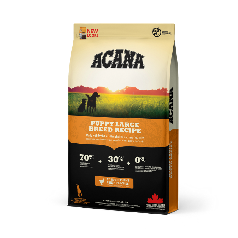 אקאנה מזון לכלב גור גזע גדול