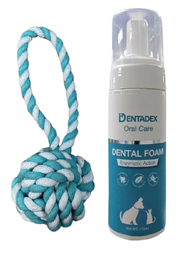 דנטדקס קצף פה וחבל דנטלי לכלב 
