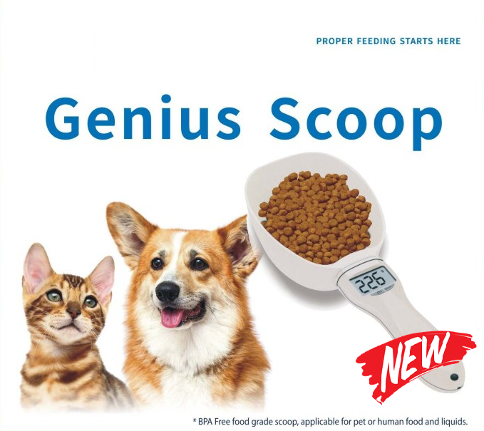 כף מדידה דיגיטלית Smart Pet Feeding Weighing Scoop