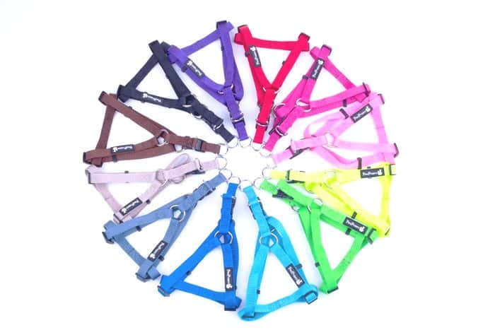 רתמה בייסיק 10 מ"מ XS - מגוון צבעים לבחירה