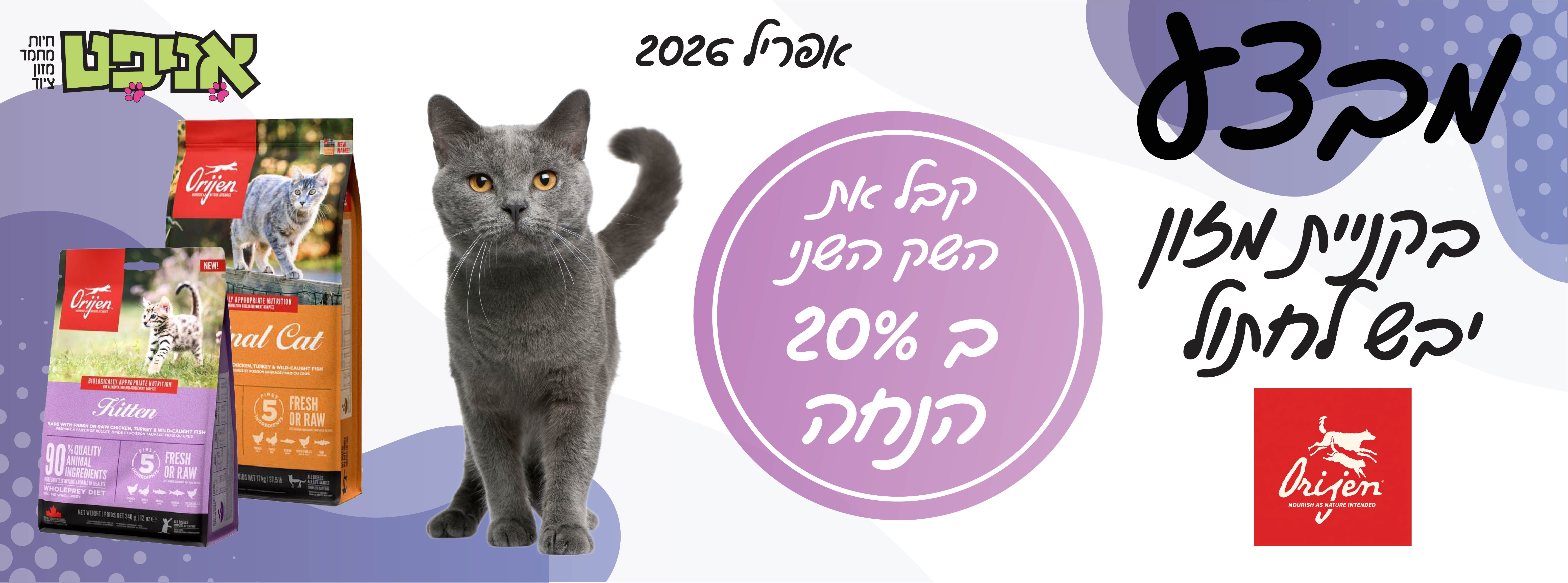 אוריג'ן חתול