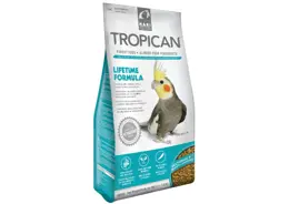 טרופיקן מזון כופתיות לקוקוטיל