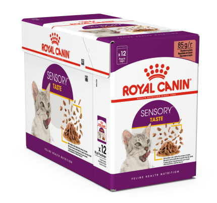 מארז 12 יחידות רויאל קנין פאוץ' לחתול סנסורי טייסט ברוטב
