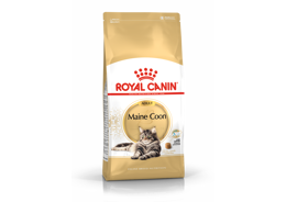 אוכל לחתולים Royal Canin Maine Coon Adult