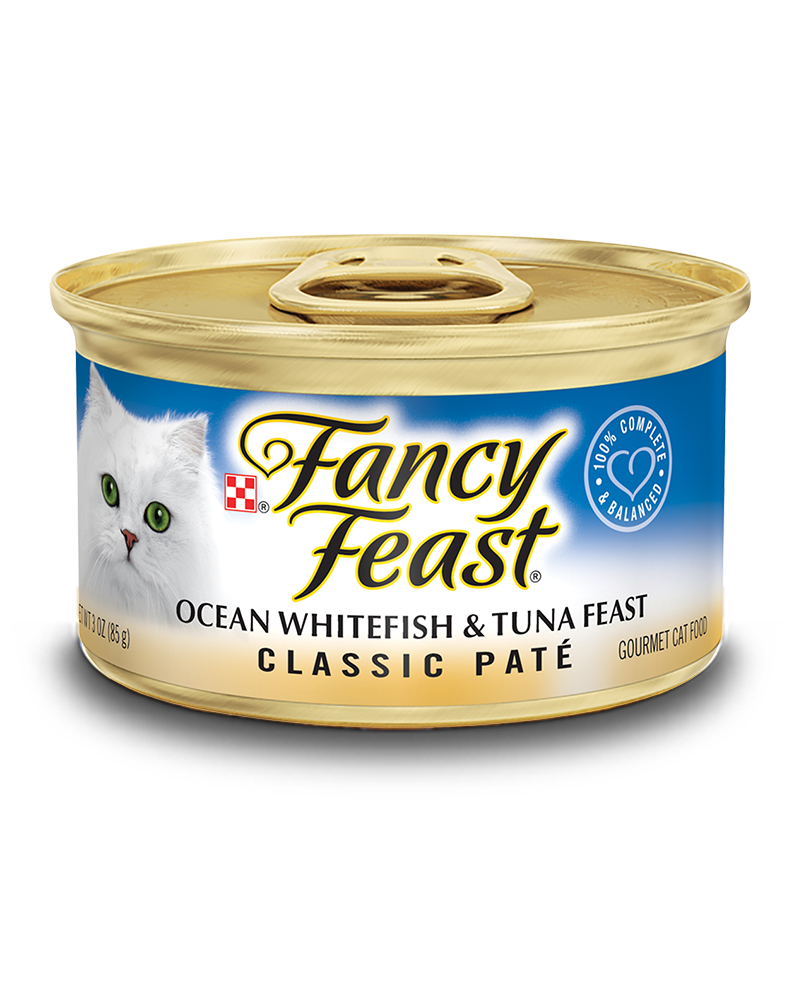 24 יחידות פנסי פיסט דגי אוקיינוס וטונה