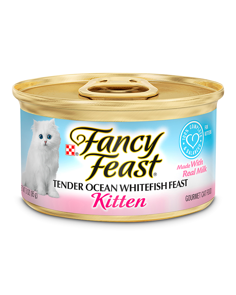 24 יחידות פנסי פיסט פטה דג אוקינוס לגור חתלתולים