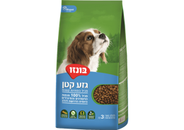בונזו בוגר גזע קטן