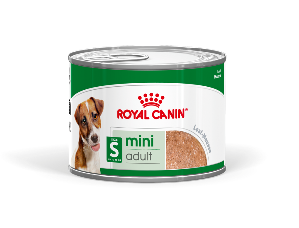 מגש 12 יחידות רויאל קנין שמורים לכלב מיני אדולט