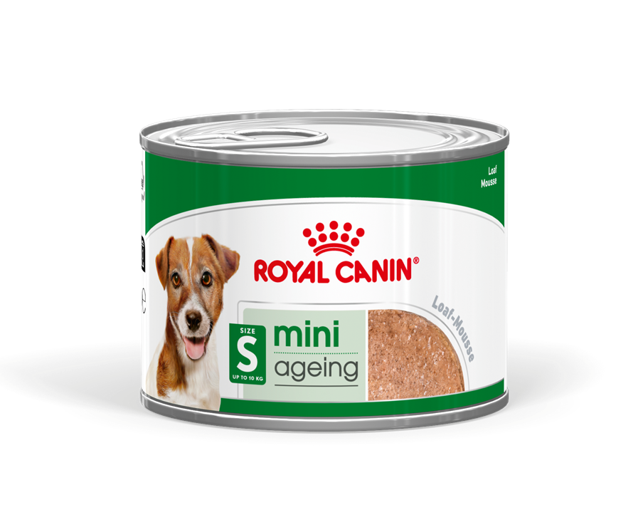 מגש 12 יחידות רויאל קנין שמורים לכלב מיני אייג'ינג 8+