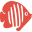 דגים