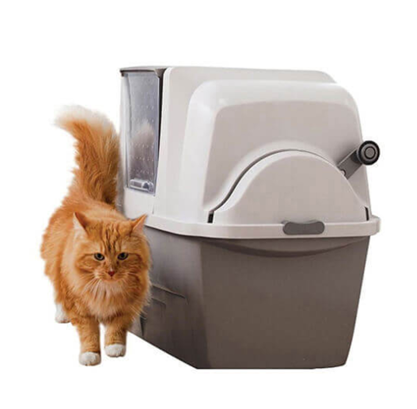 שירותי הייטק חצי אוטומטיים לחתול סמארט סיפט